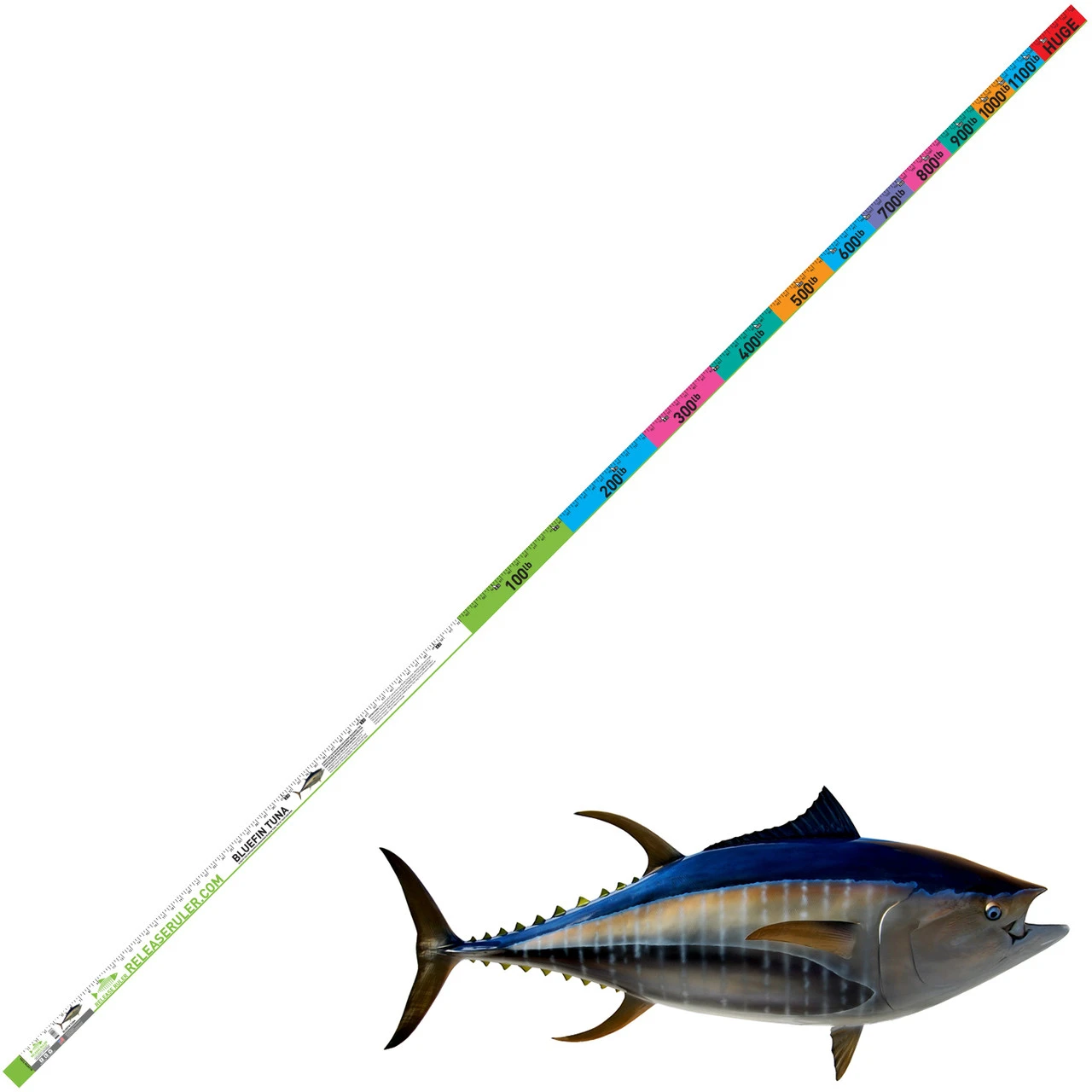 Bluefin Tuna Ruler 1 Bluefin Tuna Ruler