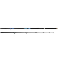 Daiwa Beefstick Rods